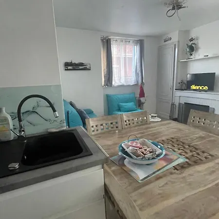 3 Pieces Avec Terrasse Entre Et Centre ארסשון