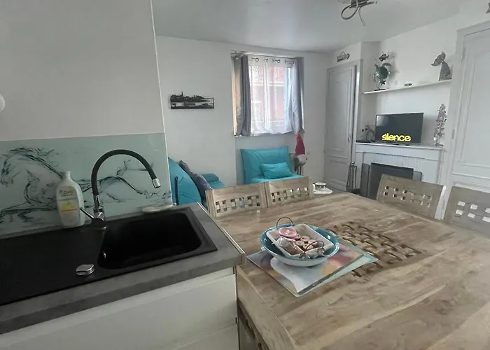 3 Pieces Avec Terrasse Entre Et Centre ארסשון